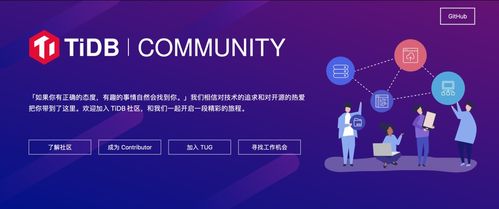 企业级开源软件大时代 PingCAP的格局与胜局